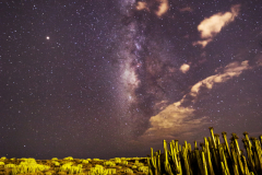 MilkyWay_noWZ