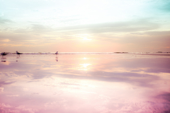 Sunset01